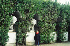 foto_009